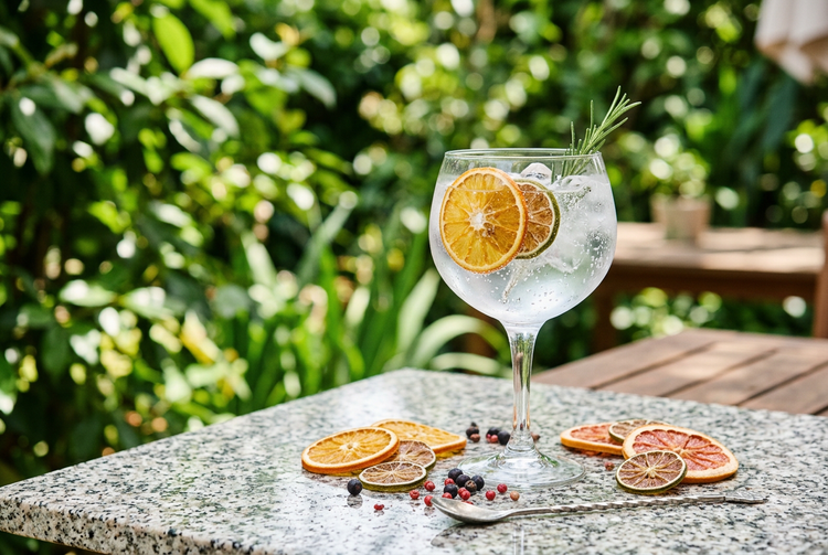 A gin and tonic garnished with dried orange and lime wheels