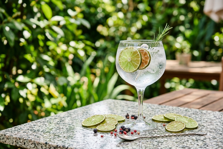 Gin and tonic garnished with a dried lime slice and rosemary